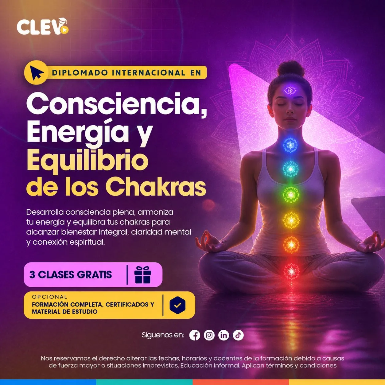 Diplomado en Consciencia, Energía y Equilibrio de los Chakras