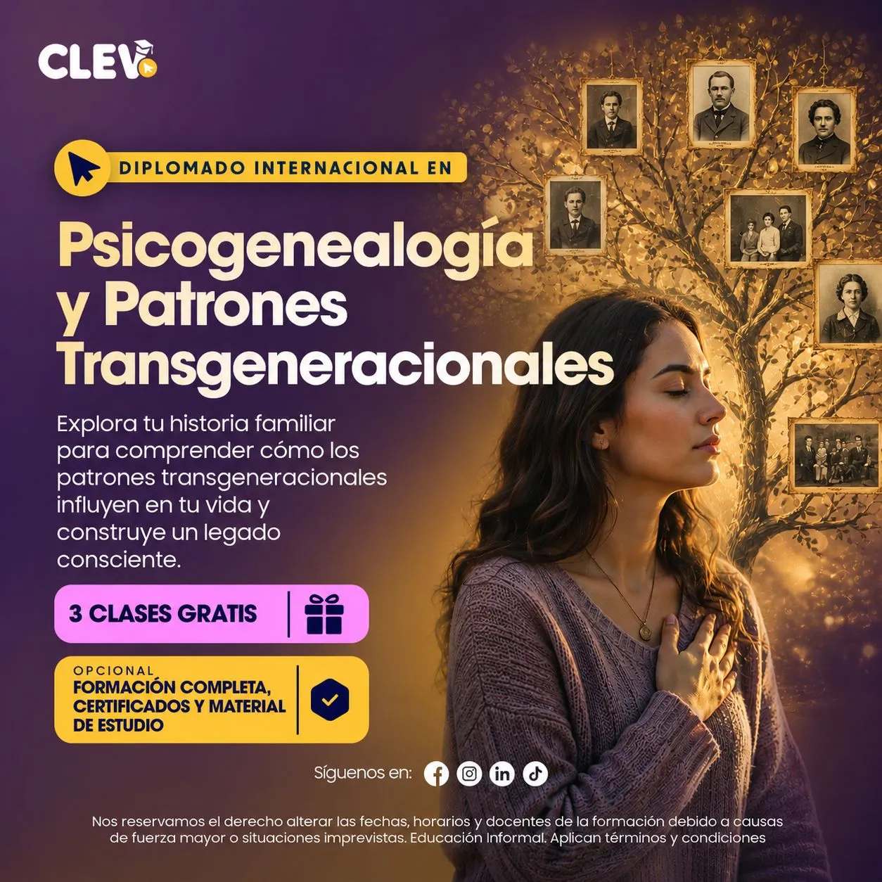 Diplomado en Psicogenealogía y Patrones Transgeneracionales